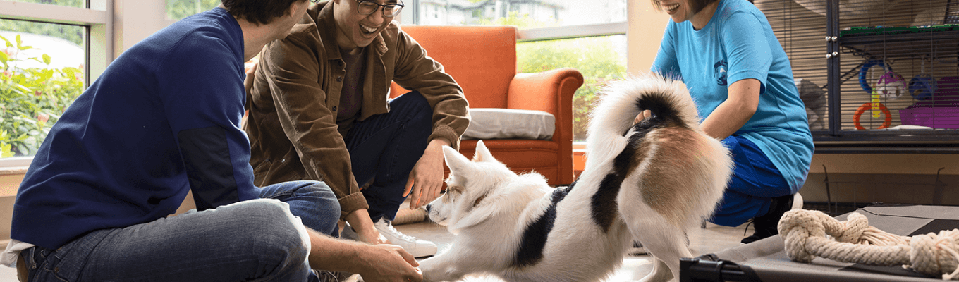 3 persons sitting on the floor at a Pet Shelter playing with a dog